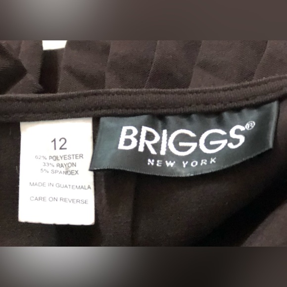 Briggs NY Pleated Bottom Skirt - Picture 2 of 3